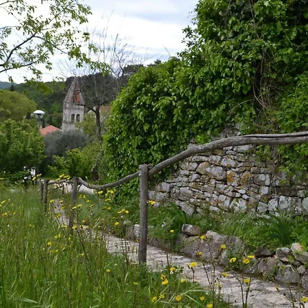 Stari Kastel Venere Buje